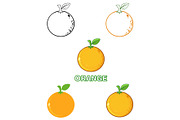 Orange Fresh Fruit. Collection - 2