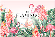 Flamingo, Patterns Set!