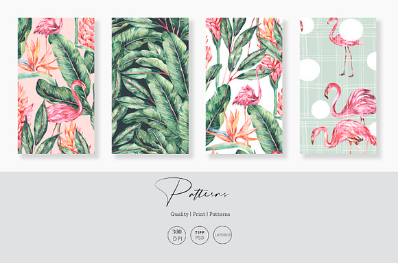 Flamingo, Patterns Set! in Patterns - product preview 1