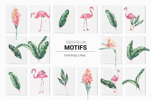 Flamingo, Patterns Set! in Patterns - product preview 13