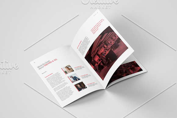 Business Proposal - V940 in Brochure Templates - product preview 7
