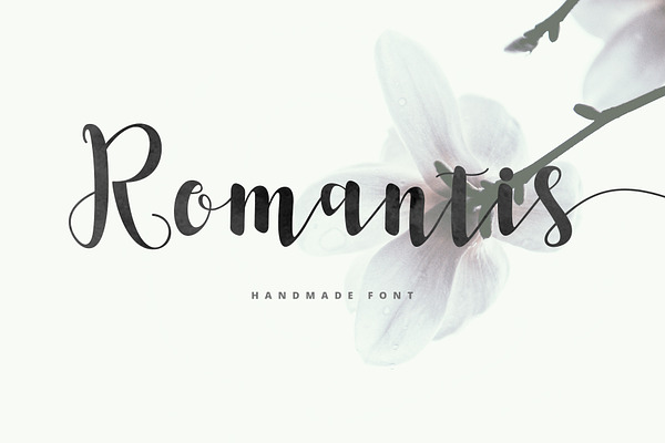 Romantis Script - Update!