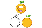 Orange Fresh Fruit. Collection - 3