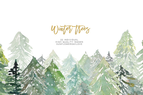 Conifer Forest Trees clipart in Illustrations - product preview 1