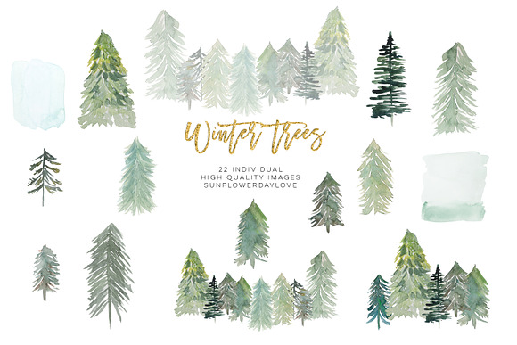 Conifer Forest Trees clipart in Illustrations - product preview 2