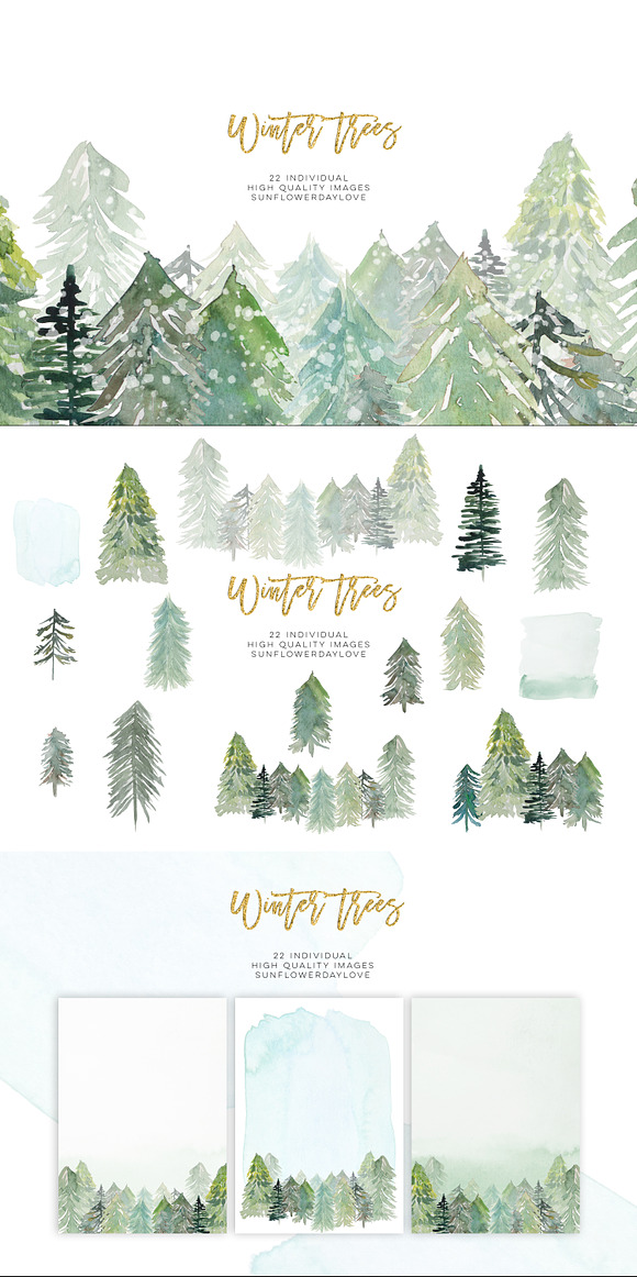 Conifer Forest Trees clipart in Illustrations - product preview 5