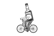 Whiskey rides bicycle sketch vector