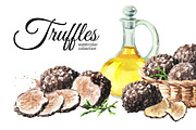 Black truffle. Watercolor collection