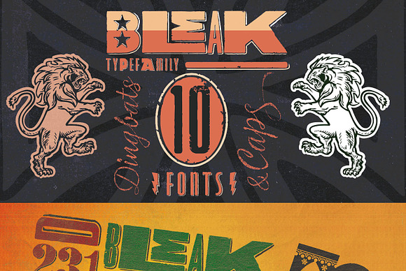 BLEAK FONT FAMILY in Display Fonts - product preview 9