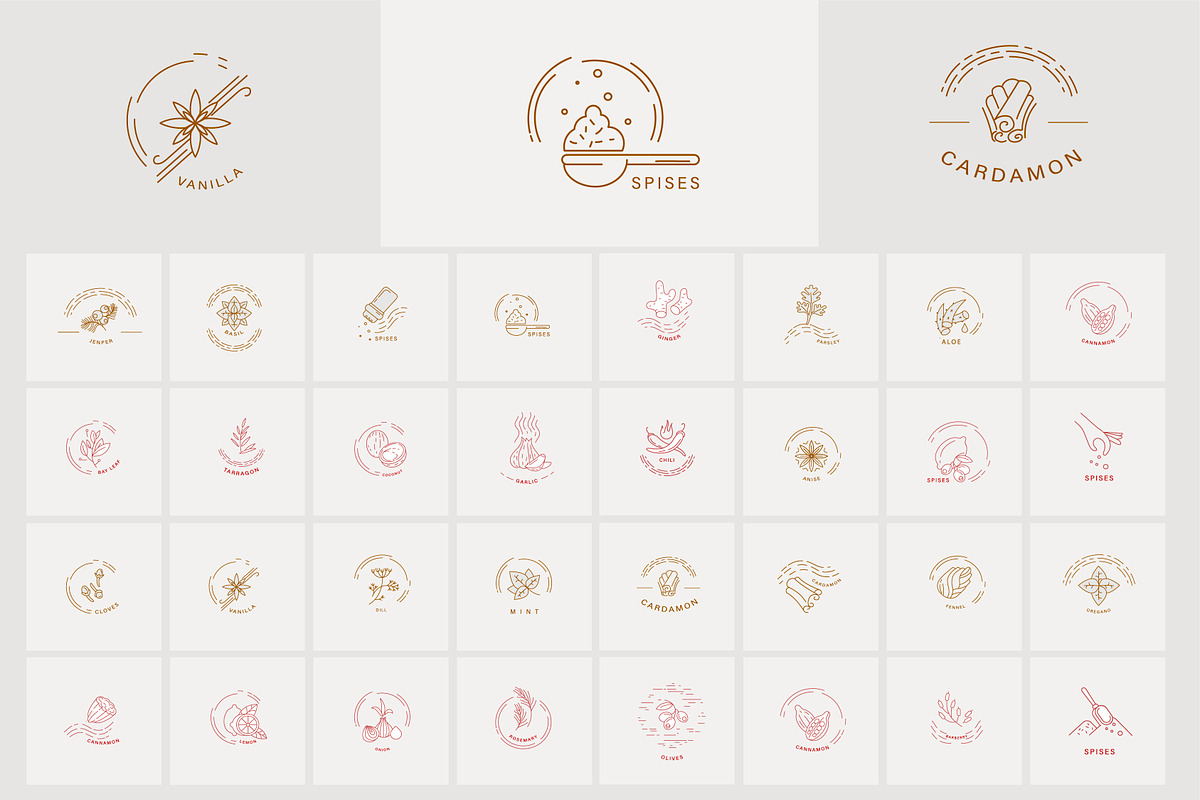 Spices and herbs. Logo and Icons in Icons - product preview 8