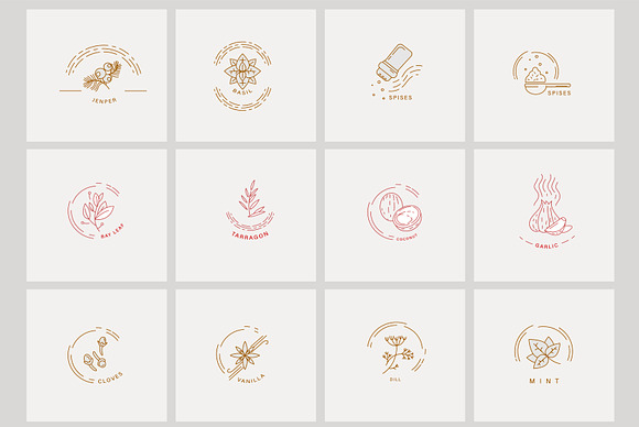 Spices and herbs. Logo and Icons in Icons - product preview 1