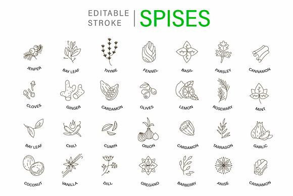 Spices and herbs. Logo and Icons in Icons - product preview 6