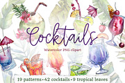 Cocktail illustrations party
