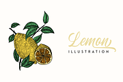 Vintage HandDrawn Lemon Illustration