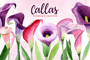 Calla lily watercolor illustrations
