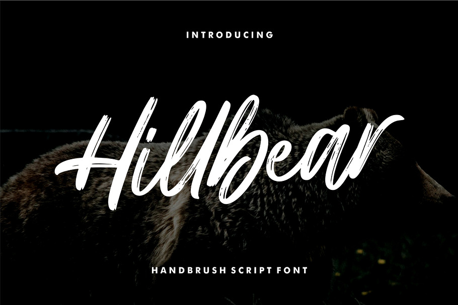 Hillbear - Handbrush Script Font