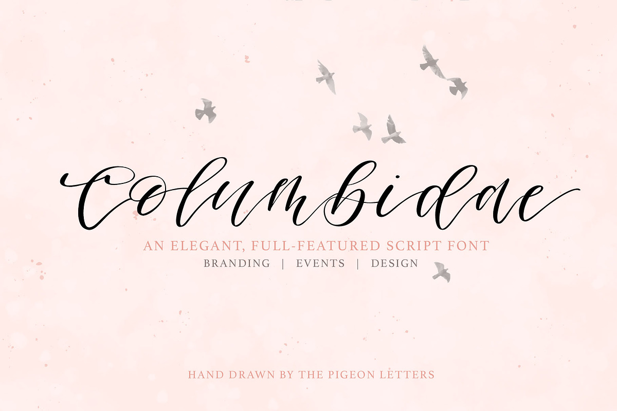 Columbidae Elegant Calligraphy Font in Script Fonts - product preview 8