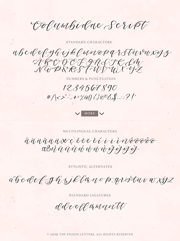 Columbidae Elegant Calligraphy Font in Script Fonts - product preview 1