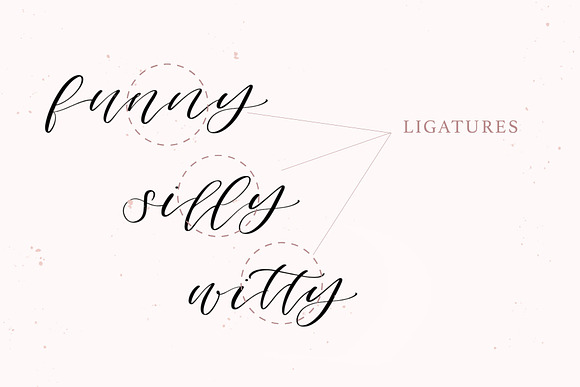 Columbidae Elegant Calligraphy Font in Script Fonts - product preview 2