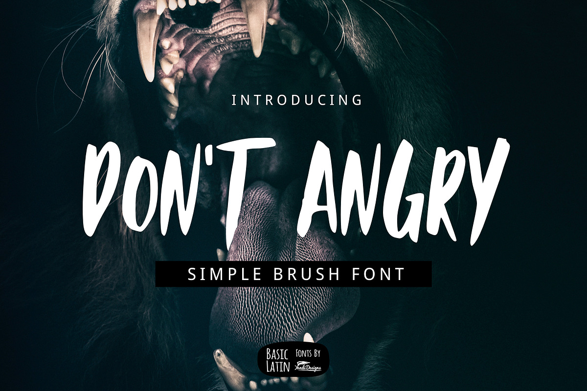 Don't Angry Font in Display Fonts - product preview 8