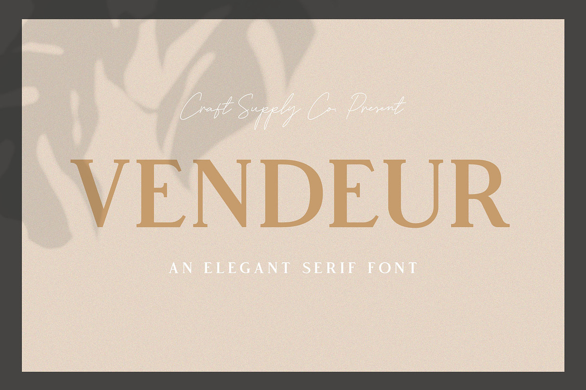 Vendeur - Elegant Serif Font in Serif Fonts - product preview 8