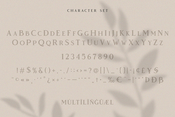 Vendeur - Elegant Serif Font in Serif Fonts - product preview 7