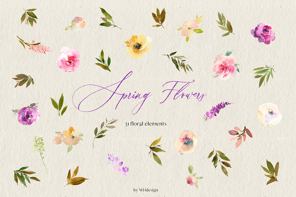 Spring Flowers Watercolor Clipart in Illustrations - product preview 5