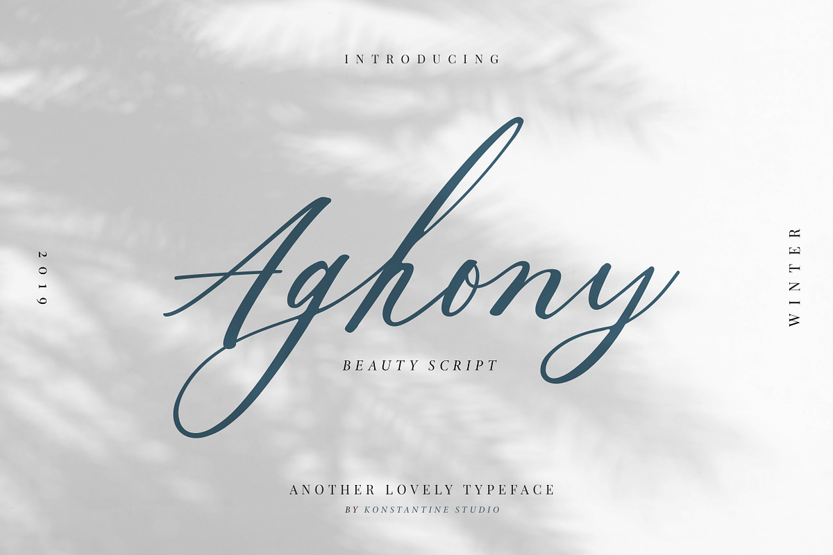 Aghony - Beauty Script in Script Fonts - product preview 8