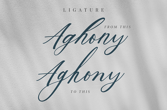 Aghony - Beauty Script in Script Fonts - product preview 1
