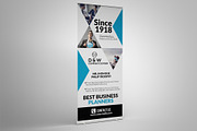 Business Roll Up Banner Template
