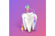Teeth whitening isometric