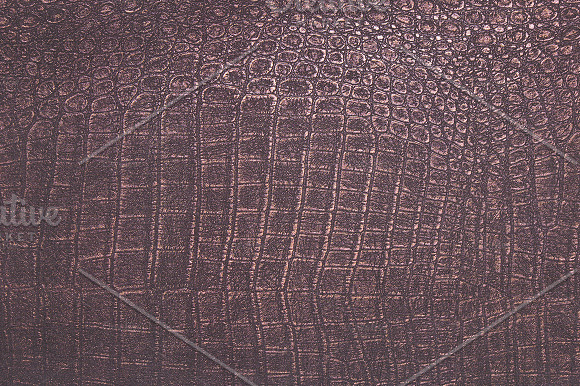 Scales and Skins Textures in Textures - product preview 1