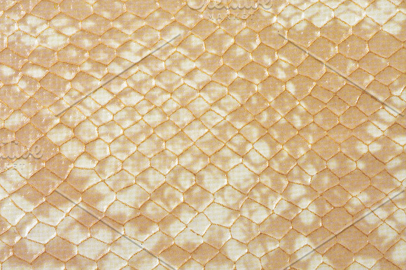 Scales and Skins Textures in Textures - product preview 2