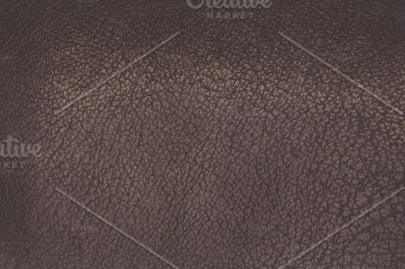 Scales and Skins Textures in Textures - product preview 3