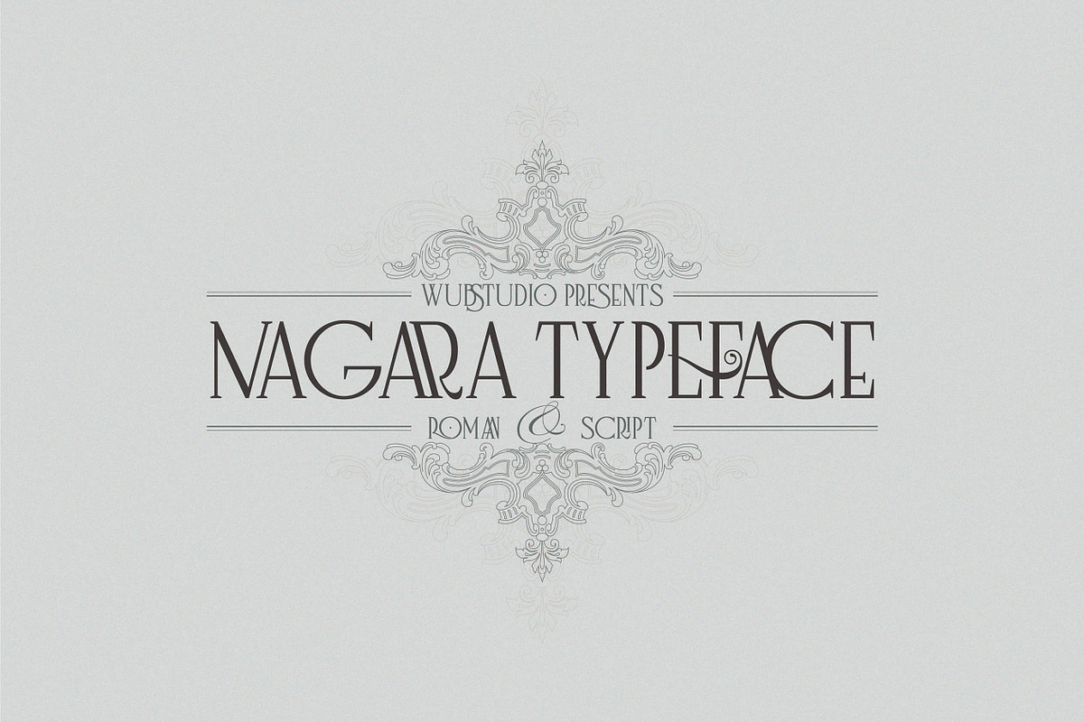 Nagara Typeface (Roman & Script) in Serif Fonts - product preview 8