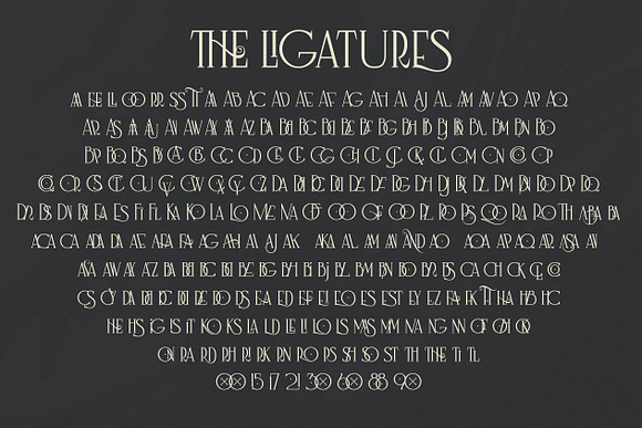 Nagara Typeface (Roman & Script) in Serif Fonts - product preview 7