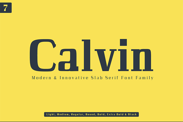 Calvin Slab Serif Font Family