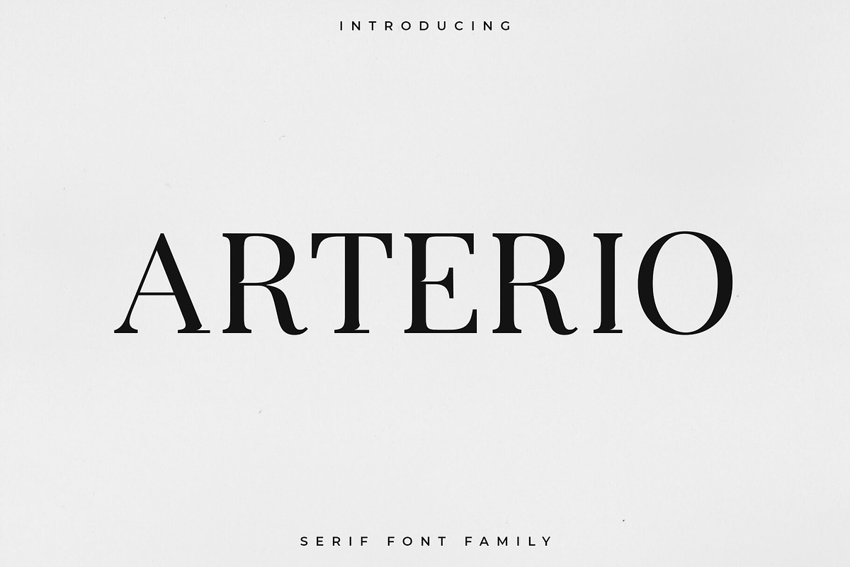 Arterio Font Family - Serif in Serif Fonts - product preview 8