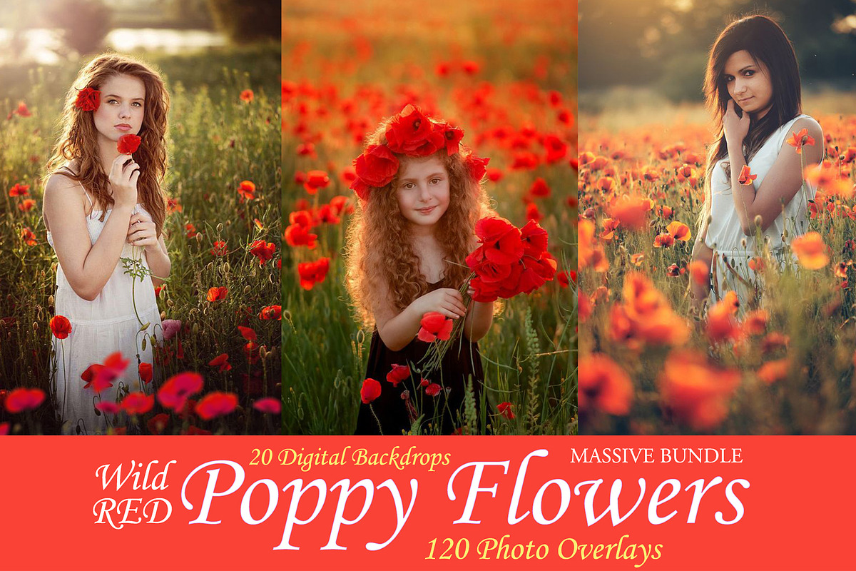 Red poppies flowers photo overlays in Objects - product preview 8
