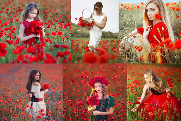 Red poppies flowers photo overlays in Objects - product preview 9