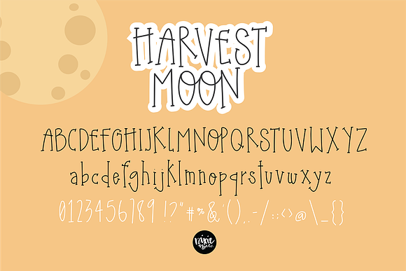 HARVEST MOON a Thin Serif Font in Serif Fonts - product preview 7
