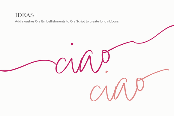 Ora Erwin : Signature Font Duo in Display Fonts - product preview 12