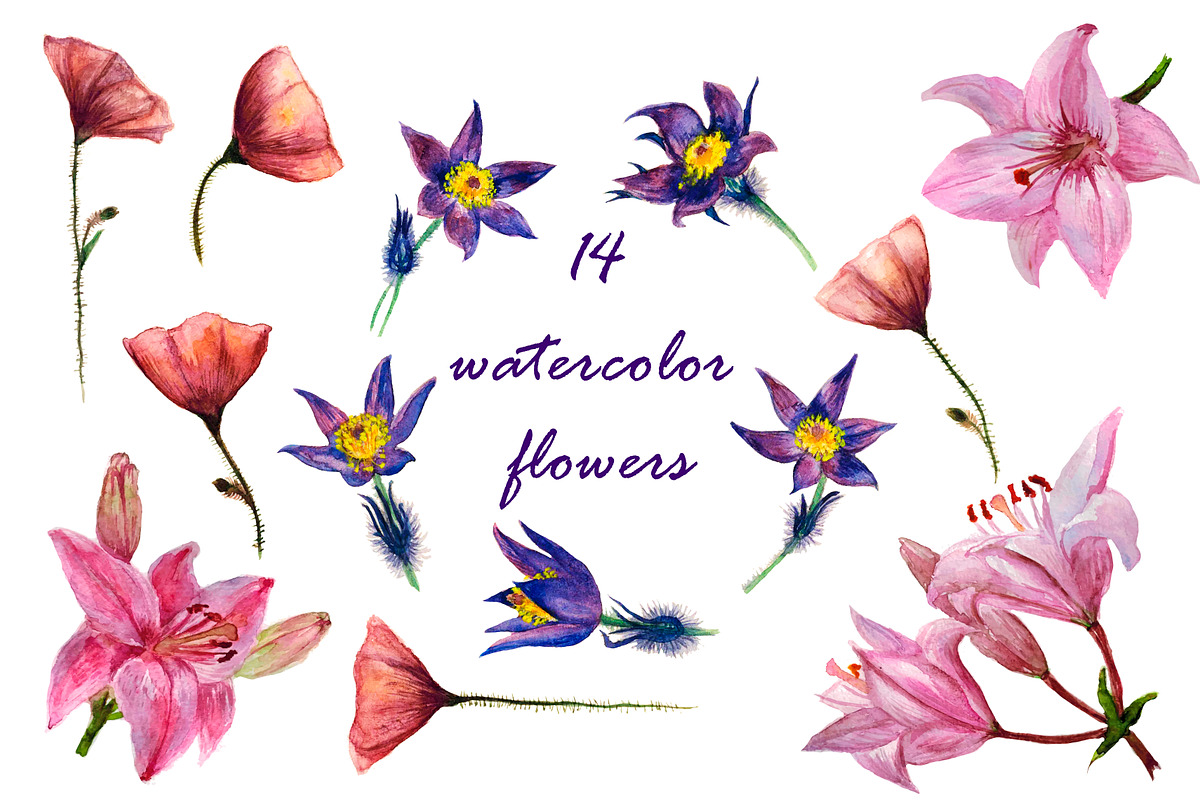 14 watercolor flower in Illustrations - product preview 8