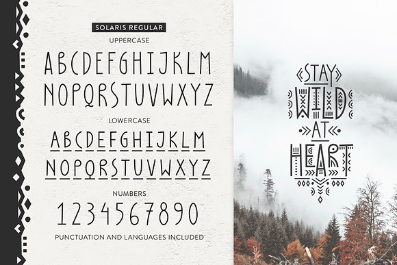 Thin Line Font Bundle: 6 in 1 in Display Fonts - product preview 6