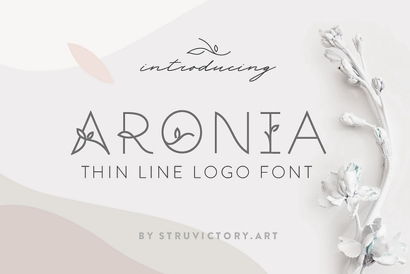 Thin Line Font Bundle: 6 in 1 in Display Fonts - product preview 20
