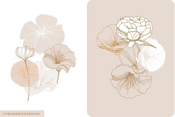 Elegant Flower Patterns in Patterns - product preview 13