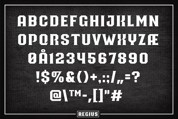 Regius Typeface in Display Fonts - product preview 2