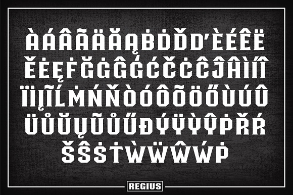 Regius Typeface in Display Fonts - product preview 3