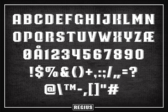 Regius Typeface in Display Fonts - product preview 4