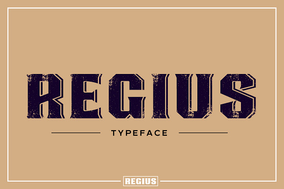 Regius Typeface in Display Fonts - product preview 8